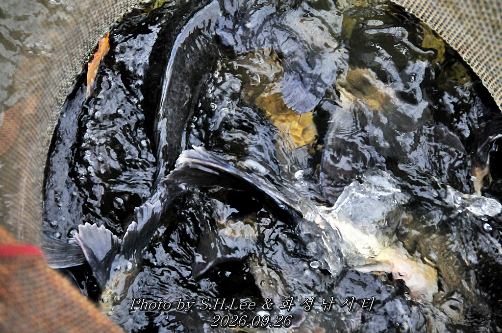 LSH_6856.JPG
