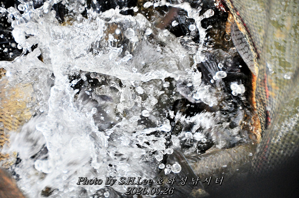 LSH_6858.JPG