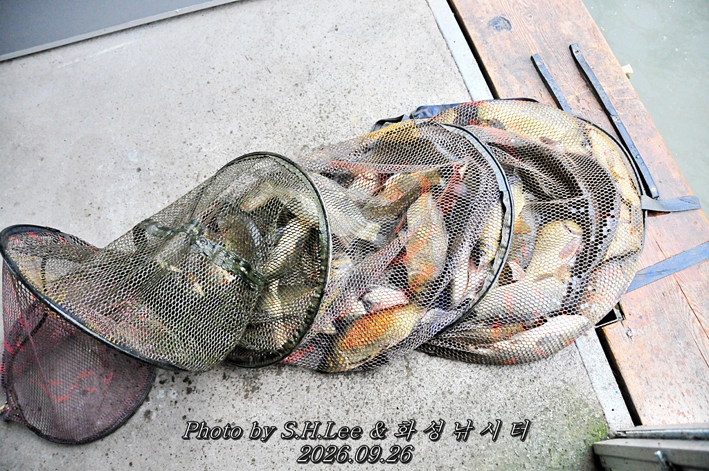 LSH_6851.JPG