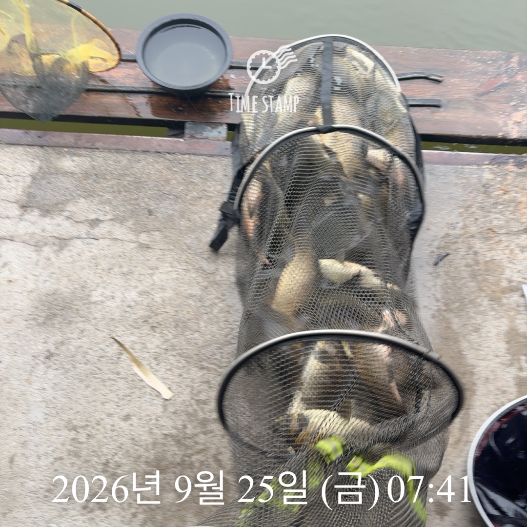 KakaoTalk_20260929_083503094_19.jpg