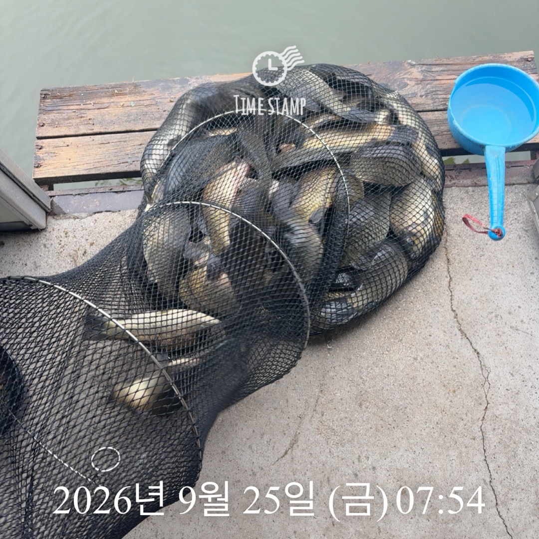 KakaoTalk_20260929_083503094_18.jpg