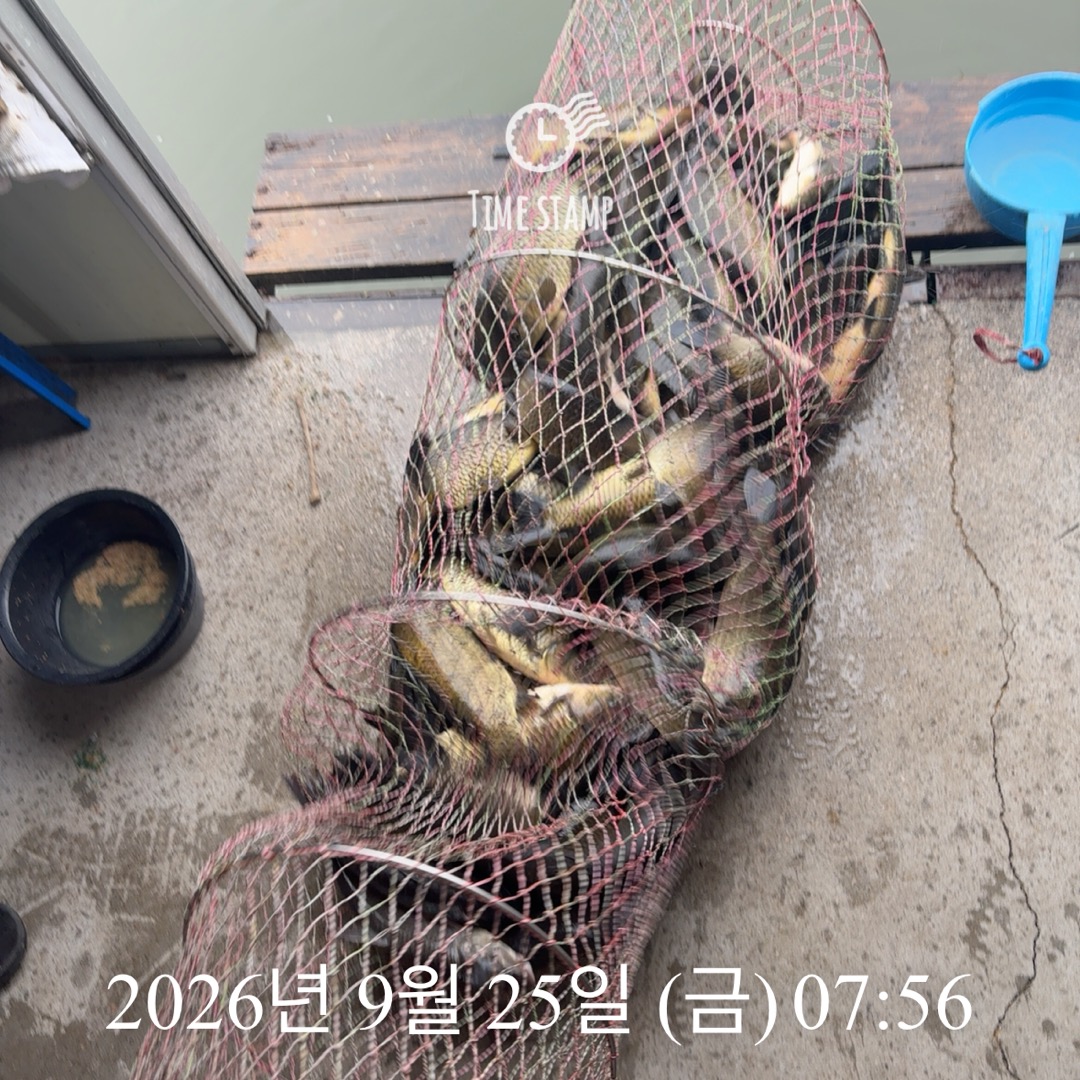 KakaoTalk_20260929_083503094_17.jpg