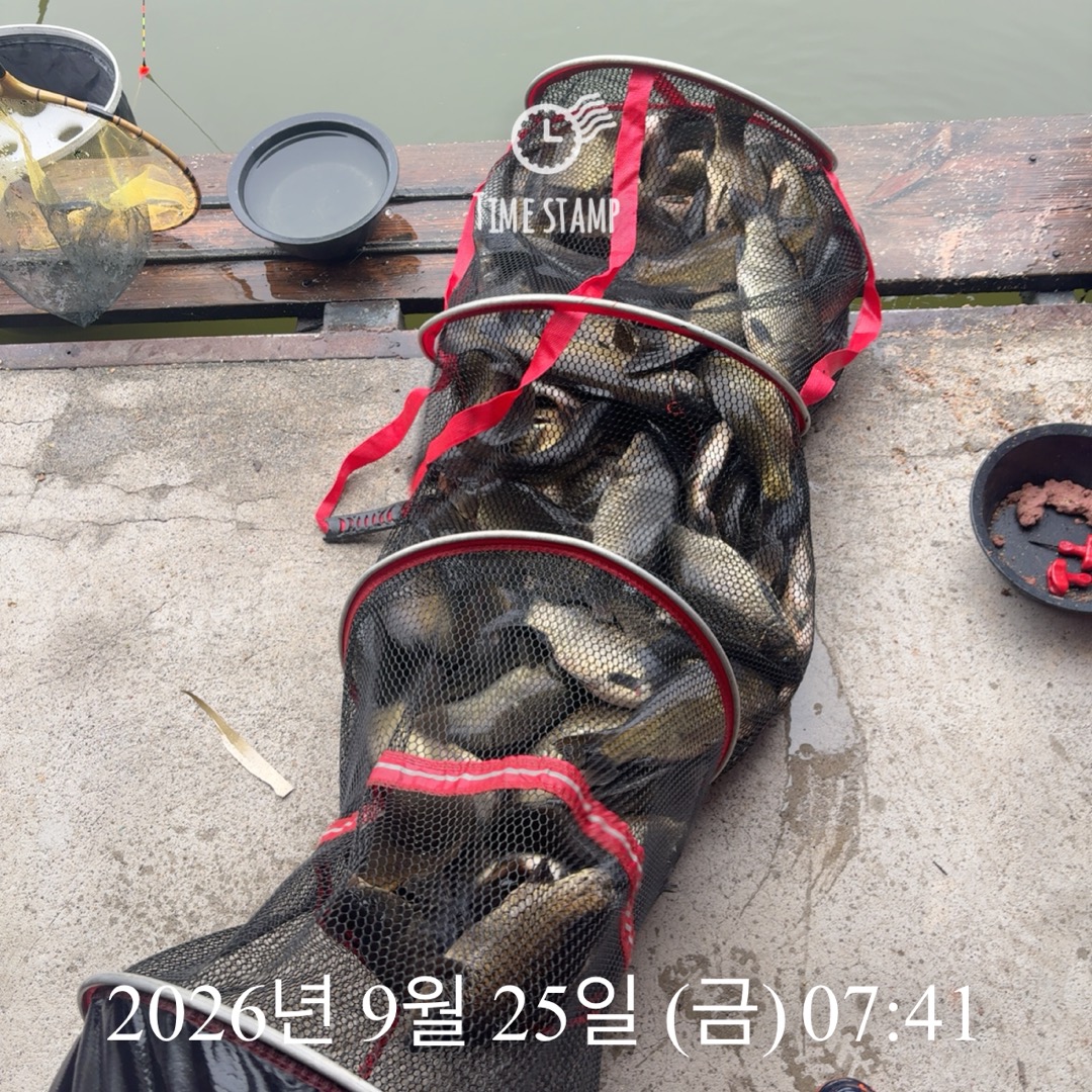 KakaoTalk_20260929_083503094_20.jpg