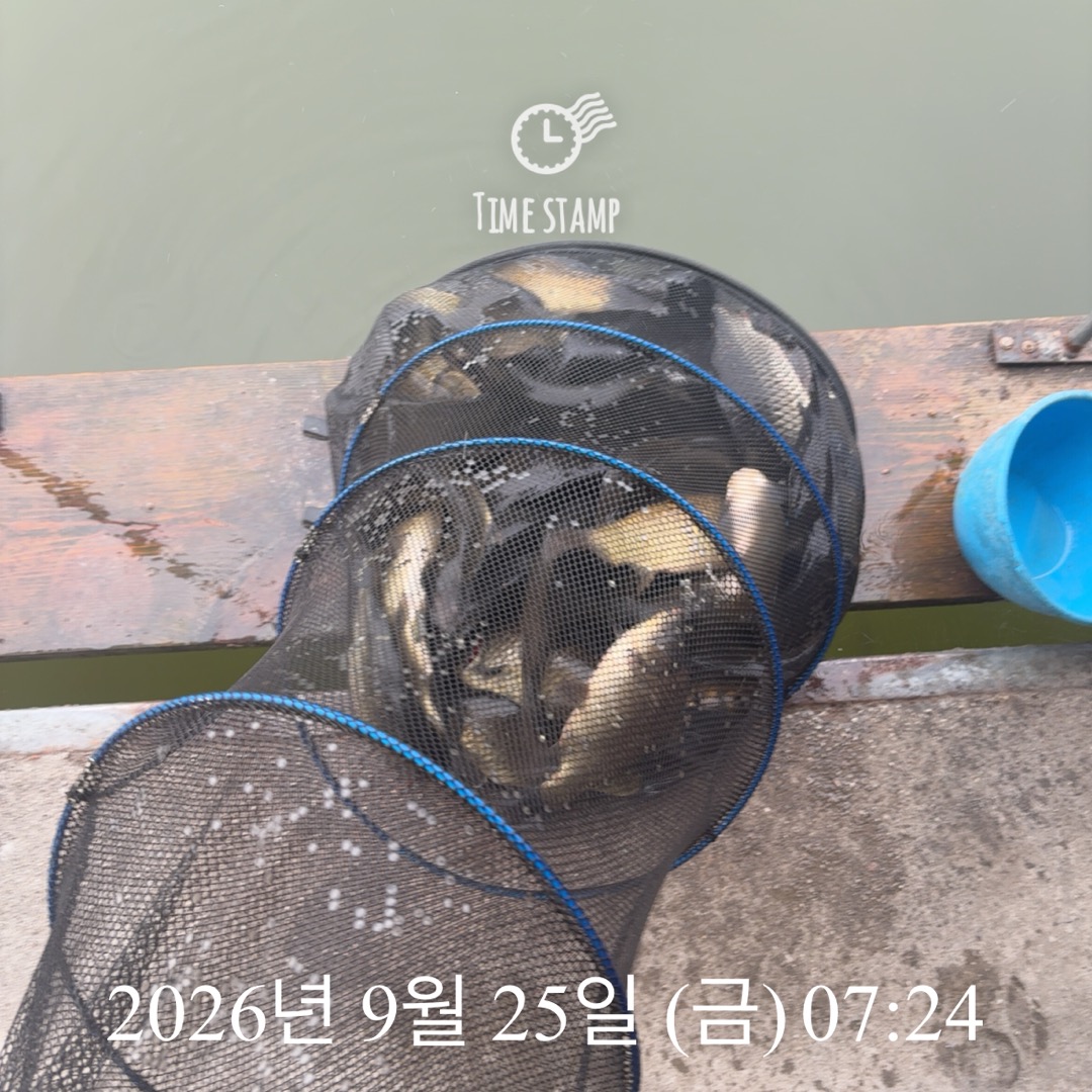 KakaoTalk_20260929_083503094_21.jpg