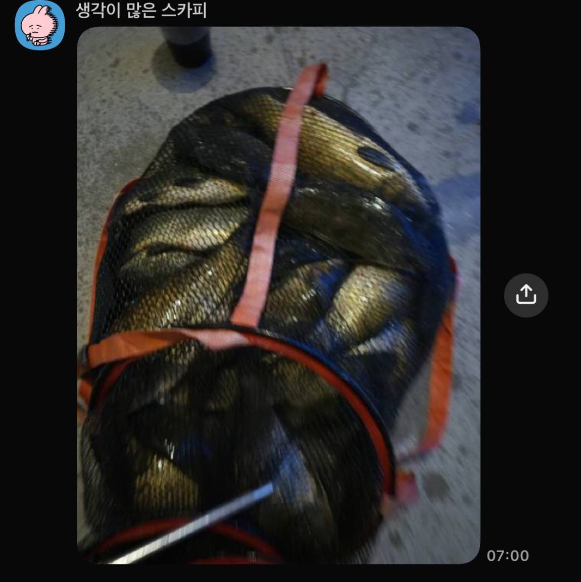 KakaoTalk_20260929_083503094_10.jpg