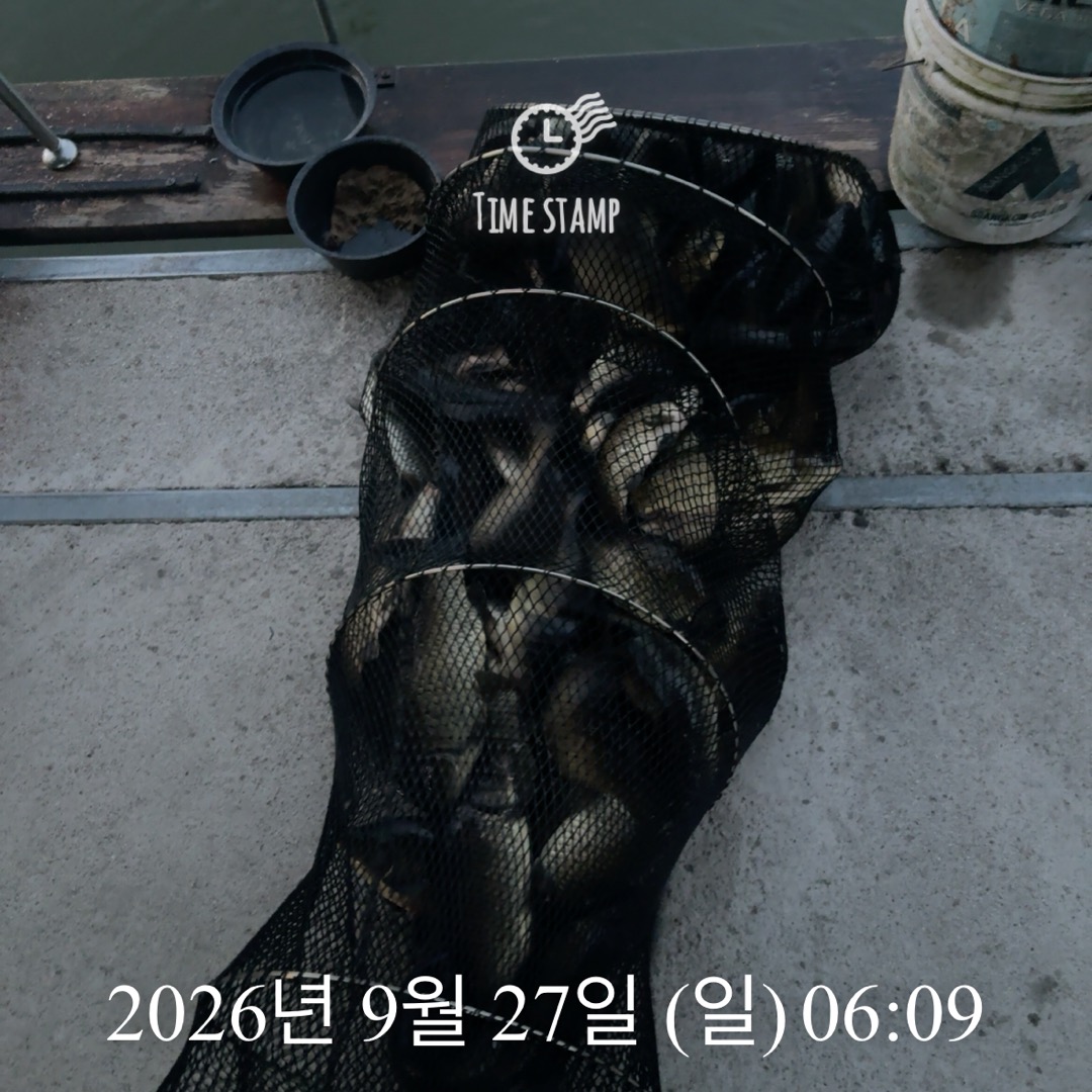 KakaoTalk_20260929_083503094_12.jpg