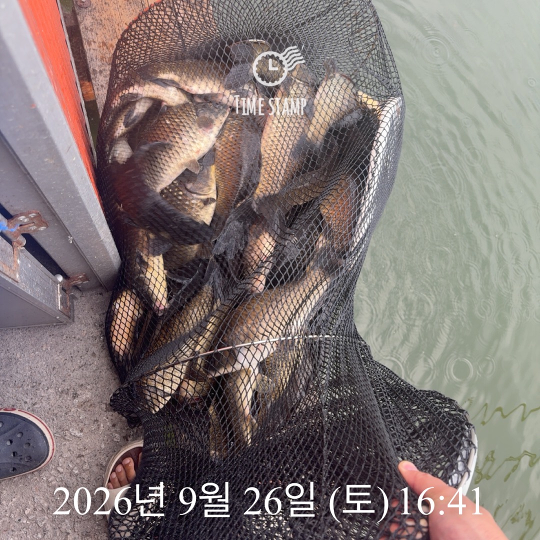 KakaoTalk_20260929_083503094_13.jpg