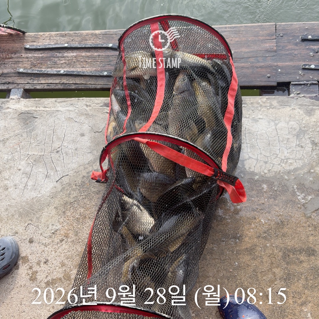 KakaoTalk_20260929_083503094.jpg