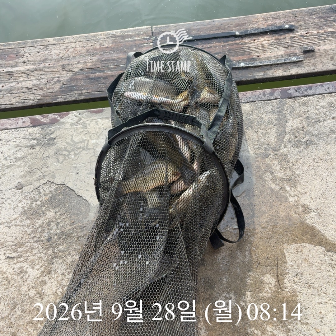 KakaoTalk_20260929_083503094_01.jpg