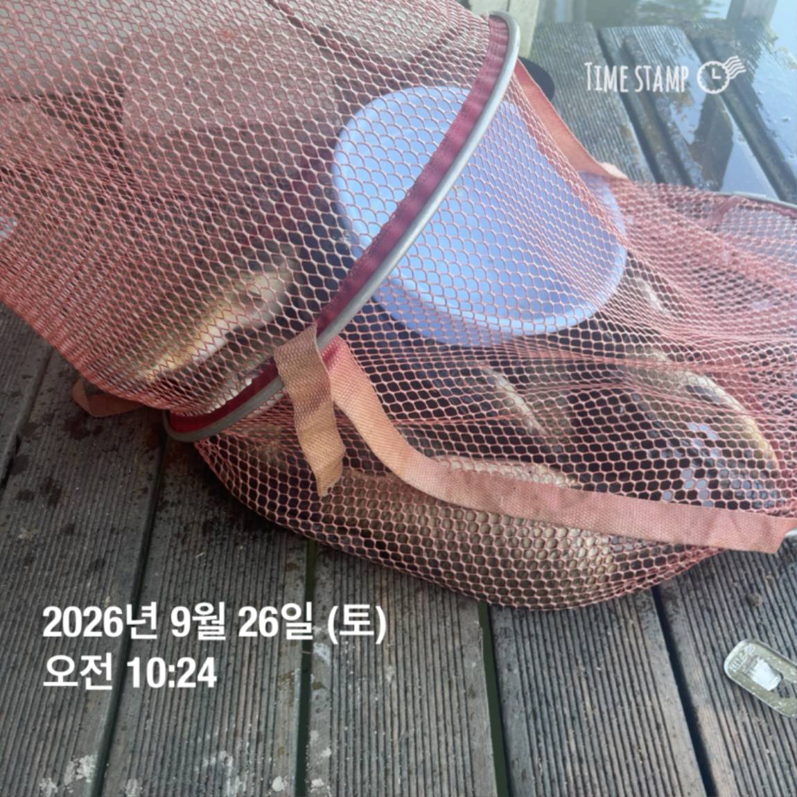 KakaoTalk_20260929_094351126_02.jpg