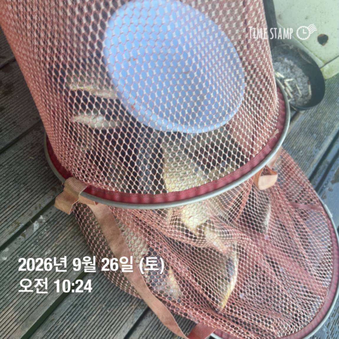 KakaoTalk_20260929_094351126_03.jpg