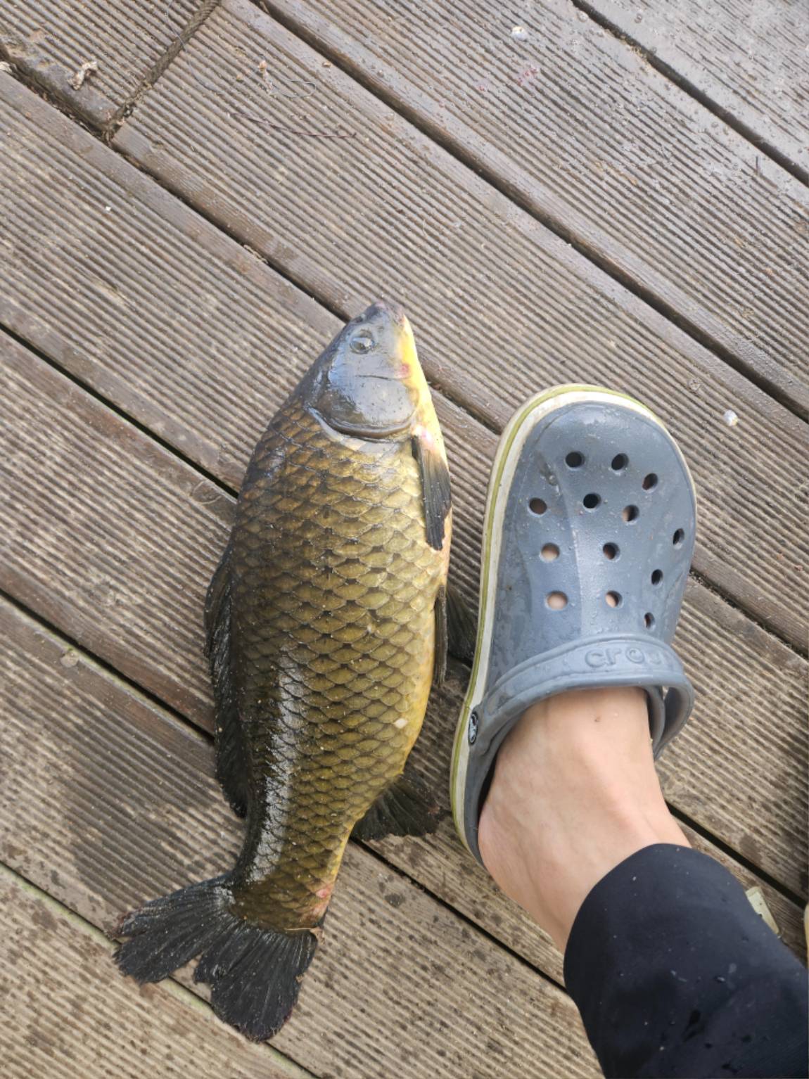 KakaoTalk_20260929_094351126_05.jpg
