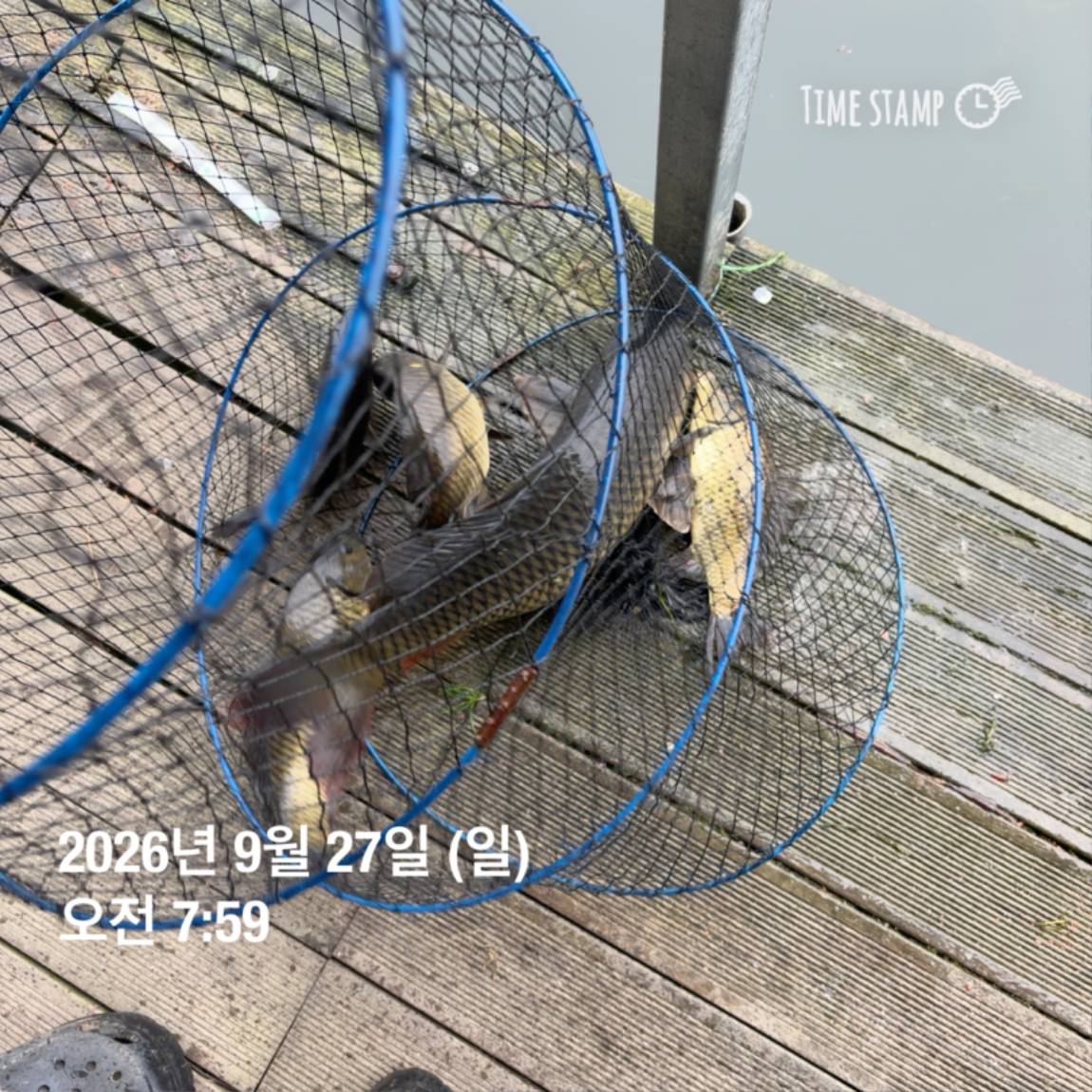 KakaoTalk_20260929_094351126_07.jpg