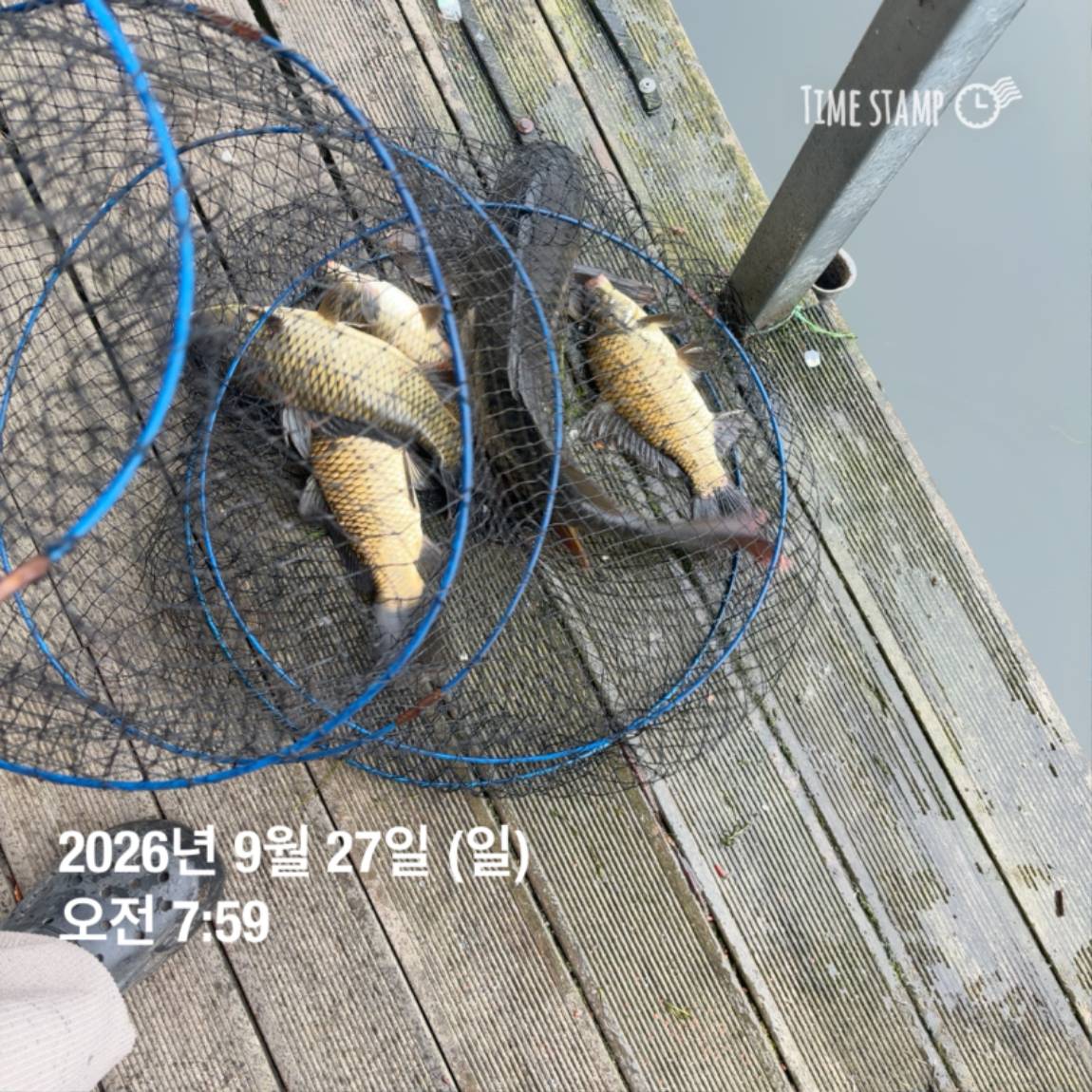 KakaoTalk_20260929_094351126_08.jpg