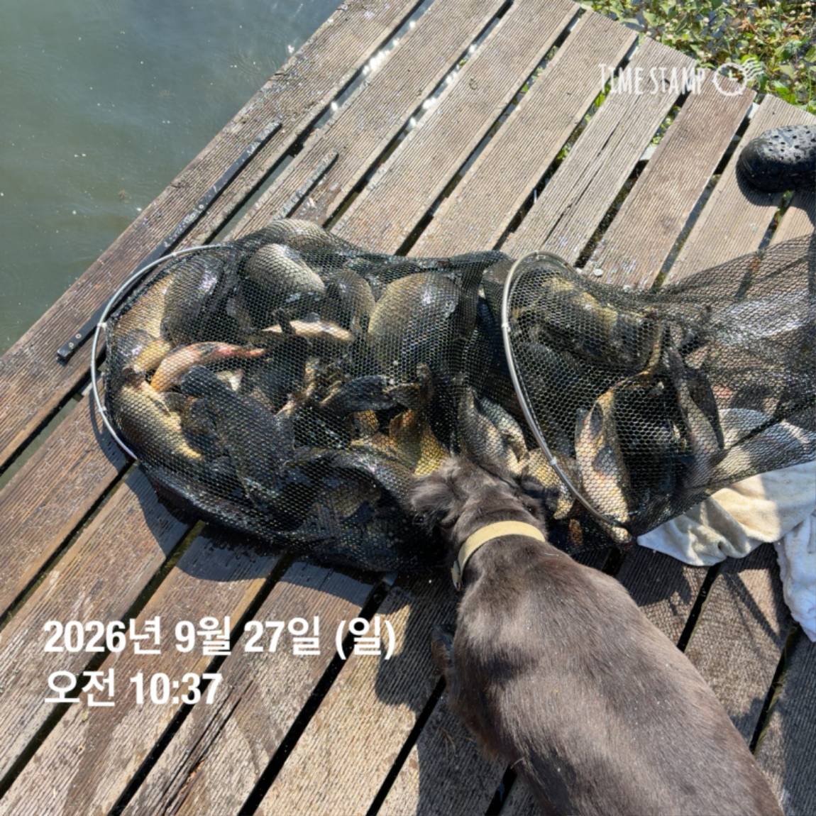 KakaoTalk_20260929_094351126_09.jpg