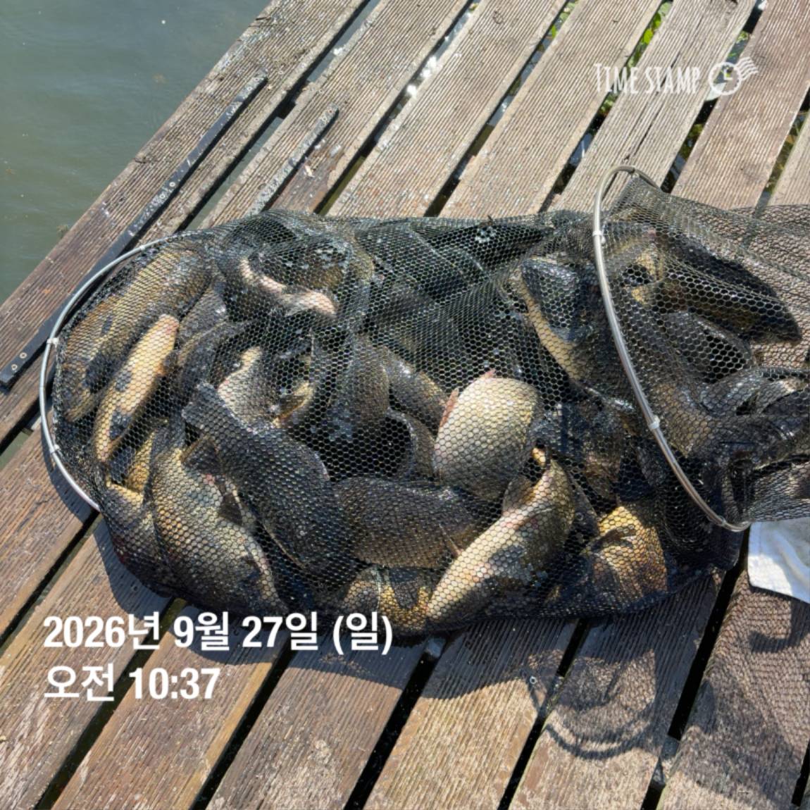 KakaoTalk_20260929_094351126_10.jpg