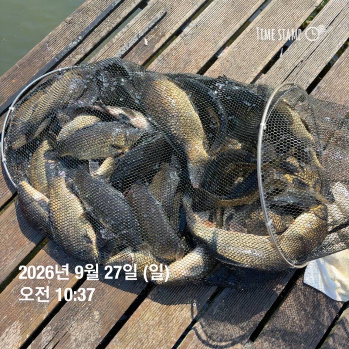 KakaoTalk_20260929_094351126_12.jpg
