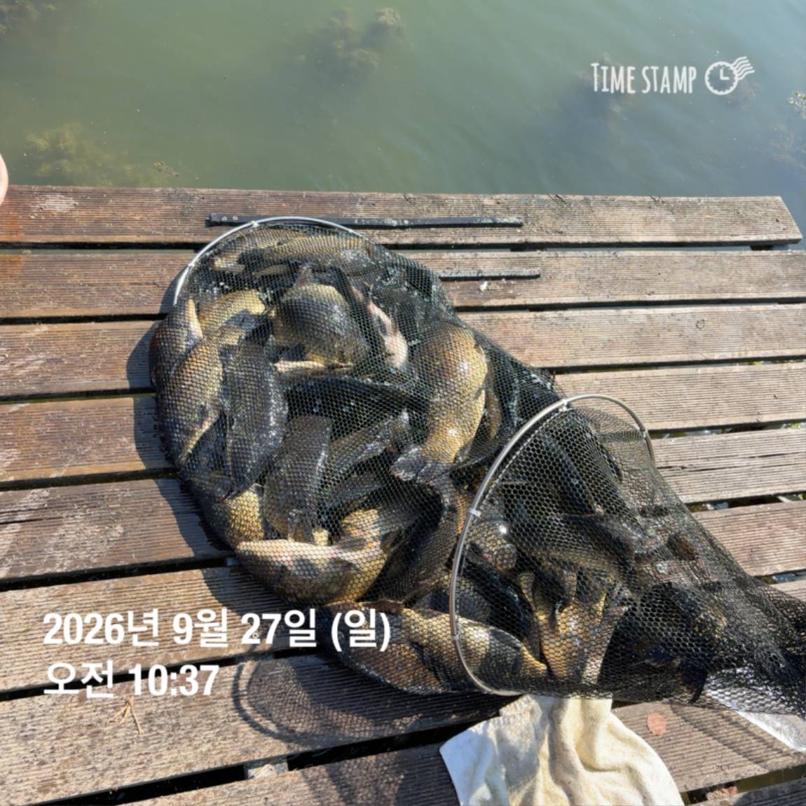 KakaoTalk_20260929_094351126_11.jpg