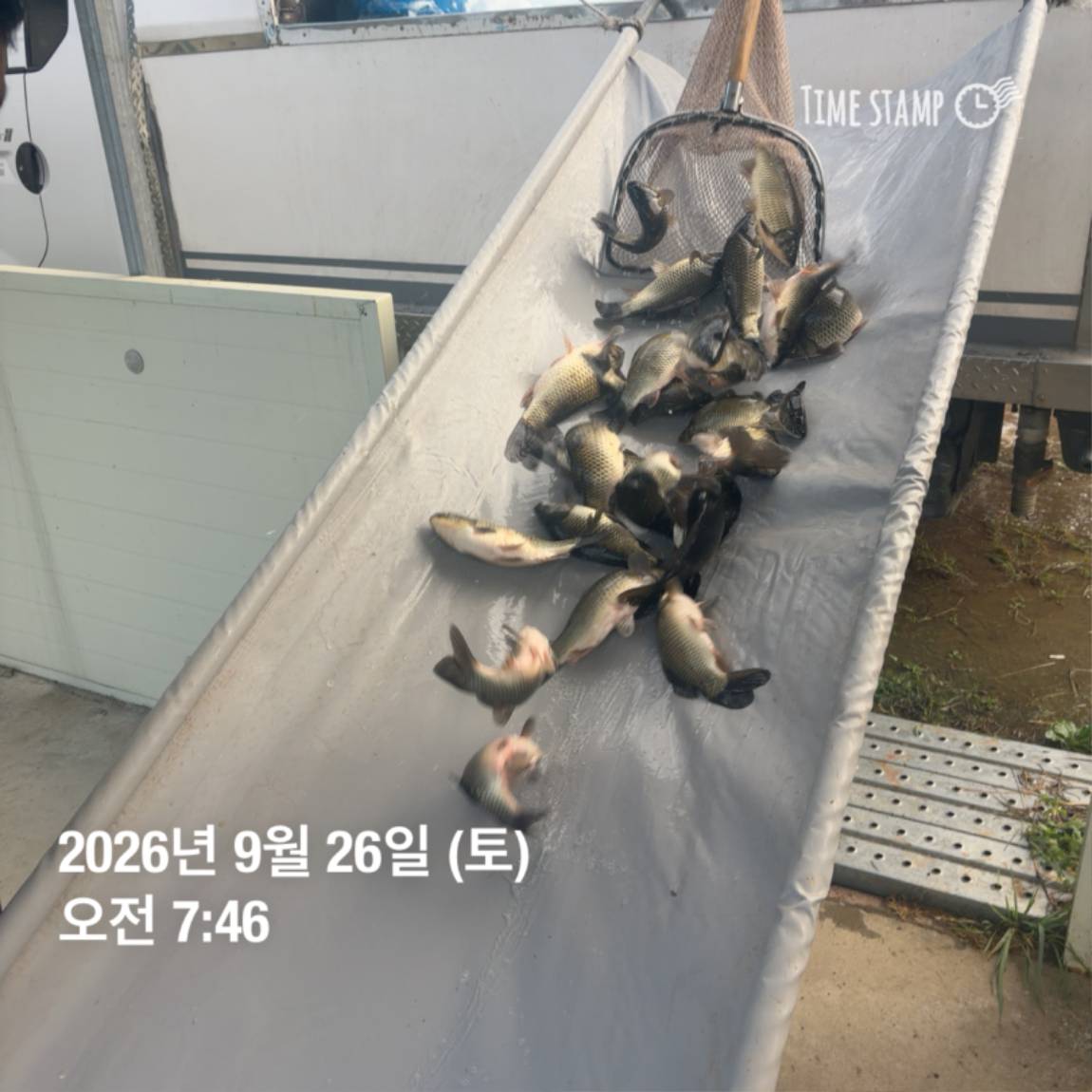 KakaoTalk_20260929_094351126_18.jpg
