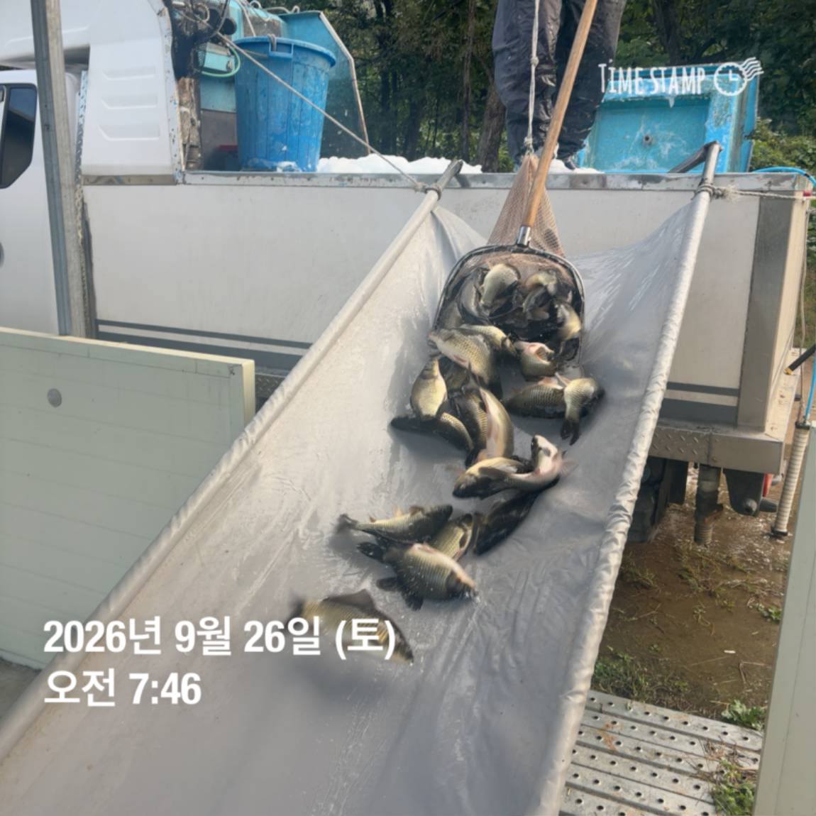 KakaoTalk_20260929_094351126_20.jpg