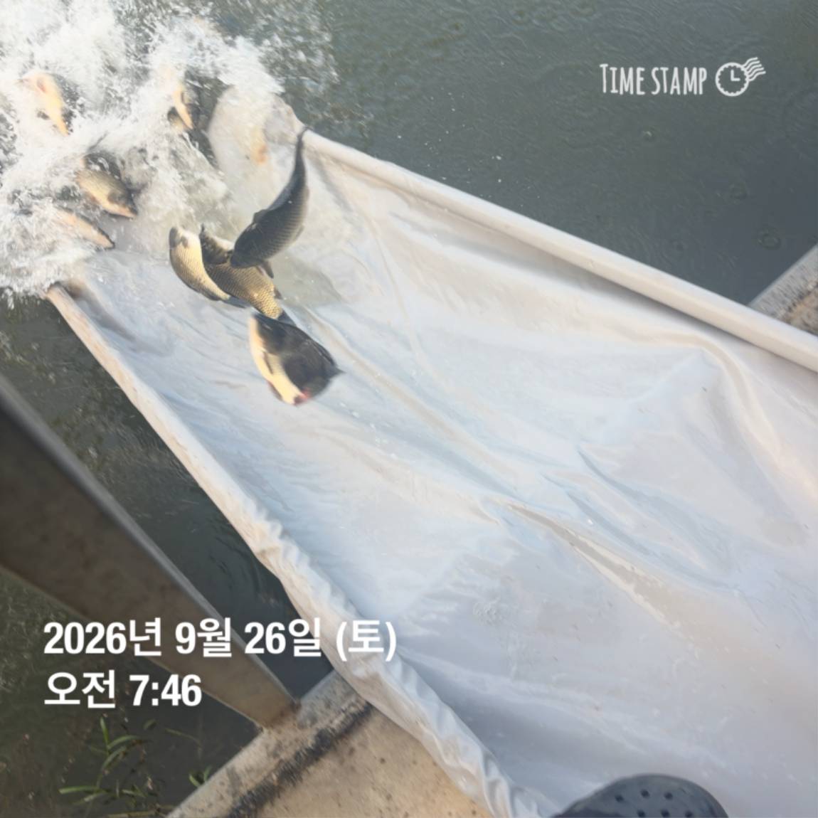 KakaoTalk_20260929_094351126_21.jpg