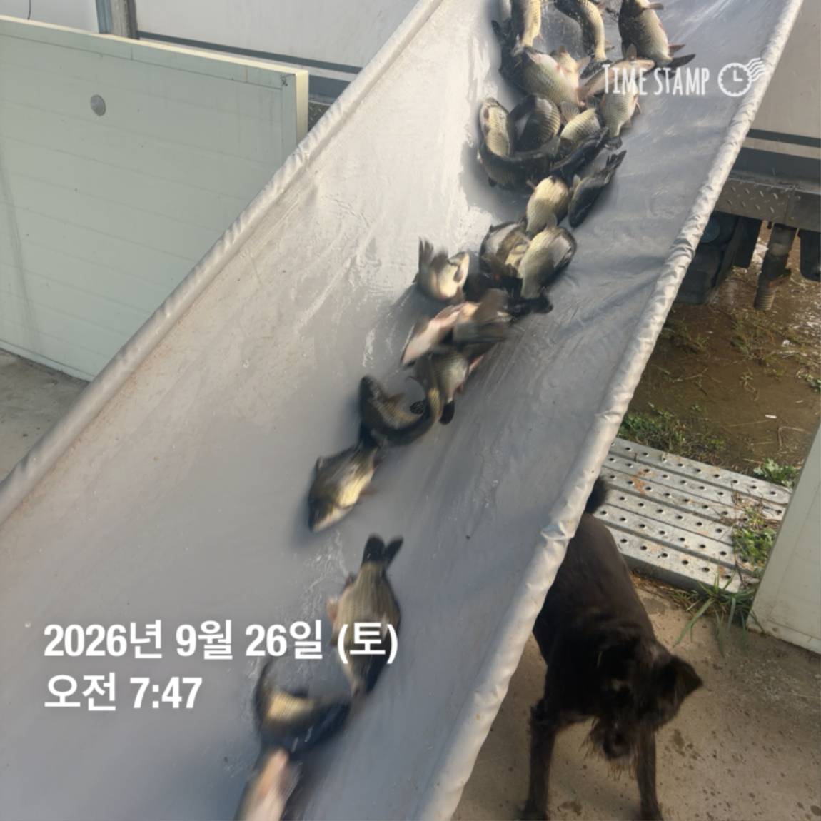 KakaoTalk_20260929_094351126_23.jpg
