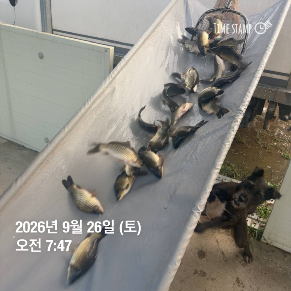 KakaoTalk_20260929_094351126_25.jpg