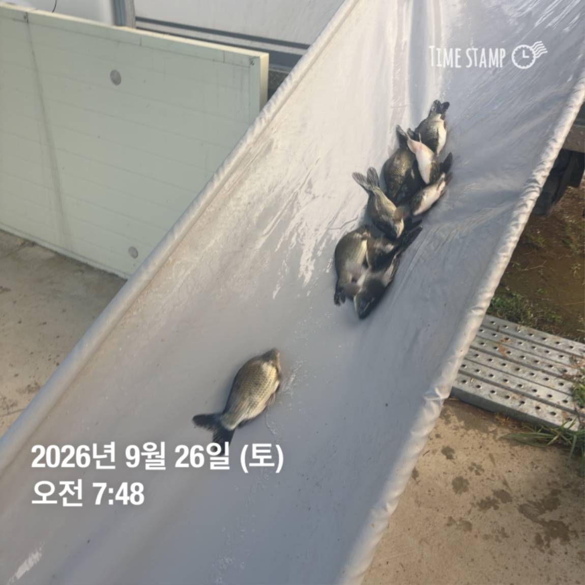 KakaoTalk_20260929_094351126_27.jpg