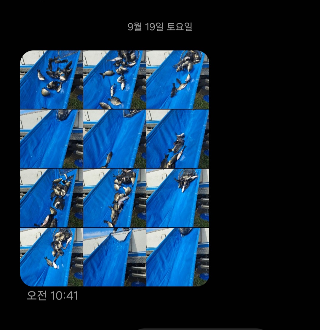 Screenshot_20260919_130137_Messages.jpg