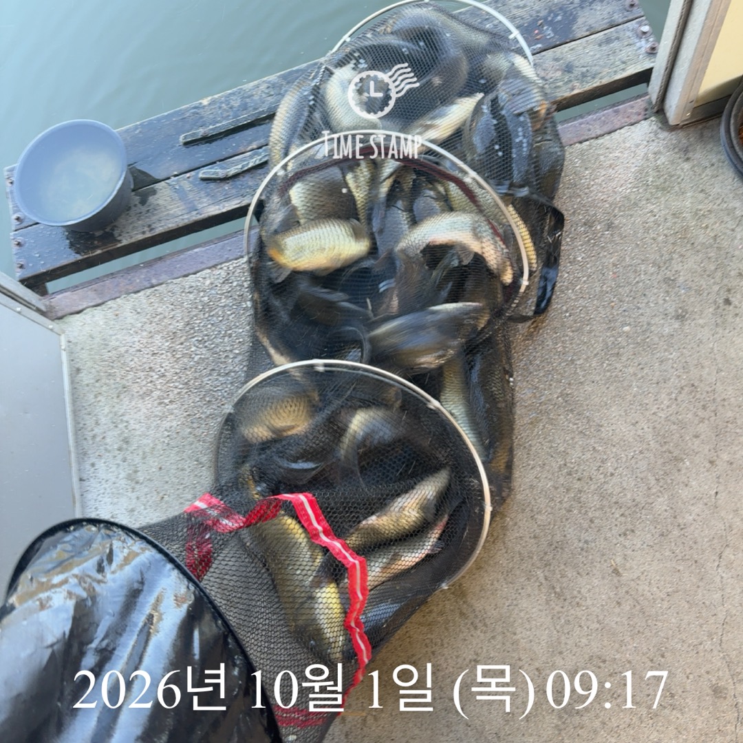 KakaoTalk_20261001_092908099_01.jpg