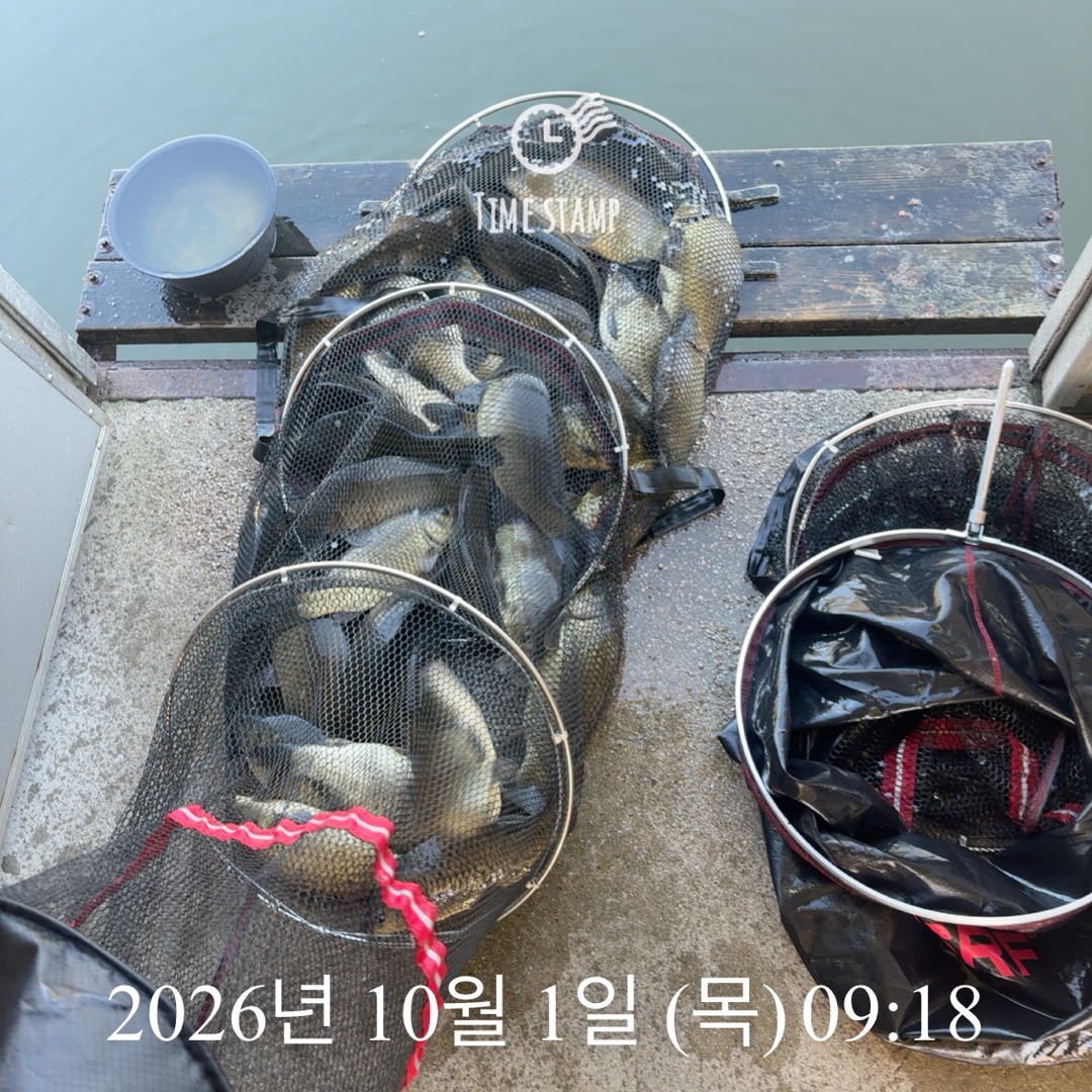 KakaoTalk_20261001_092908099.jpg