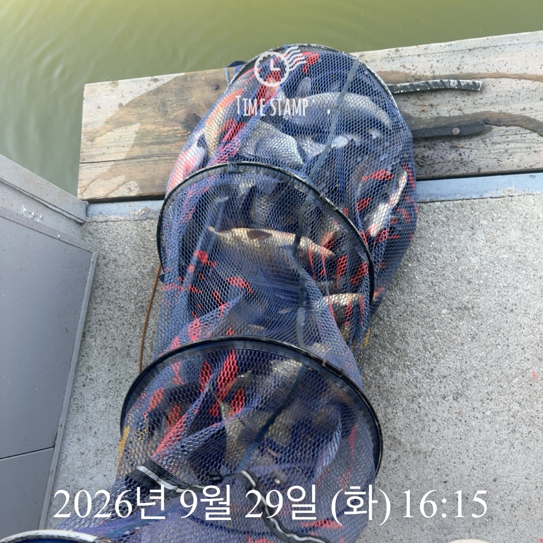 KakaoTalk_20261001_092908099_06.jpg