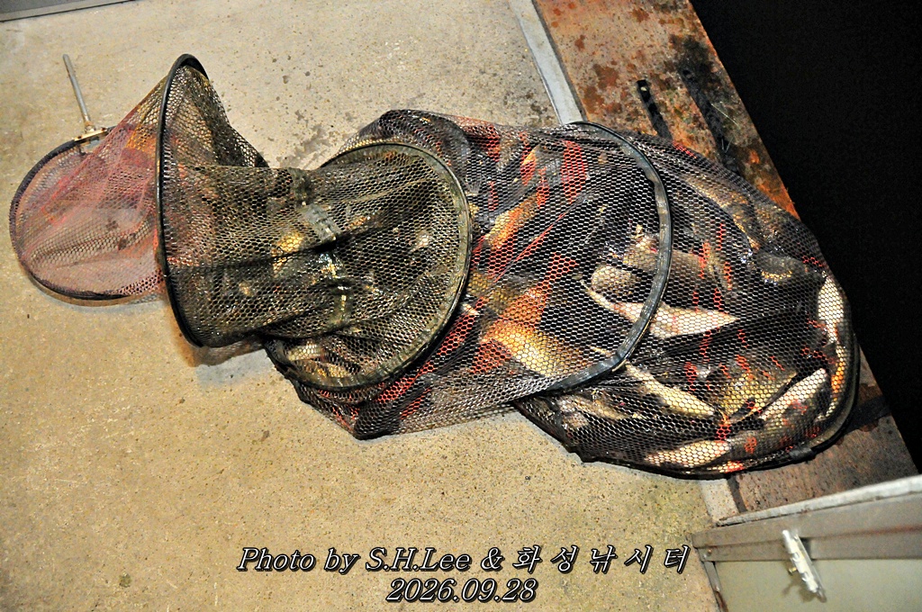 LSH_7119.JPG