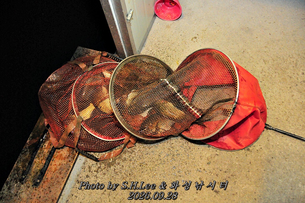 LSH_7116.JPG