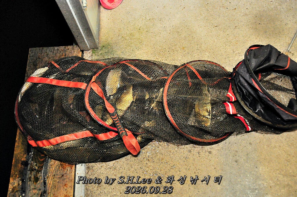 LSH_7122.JPG