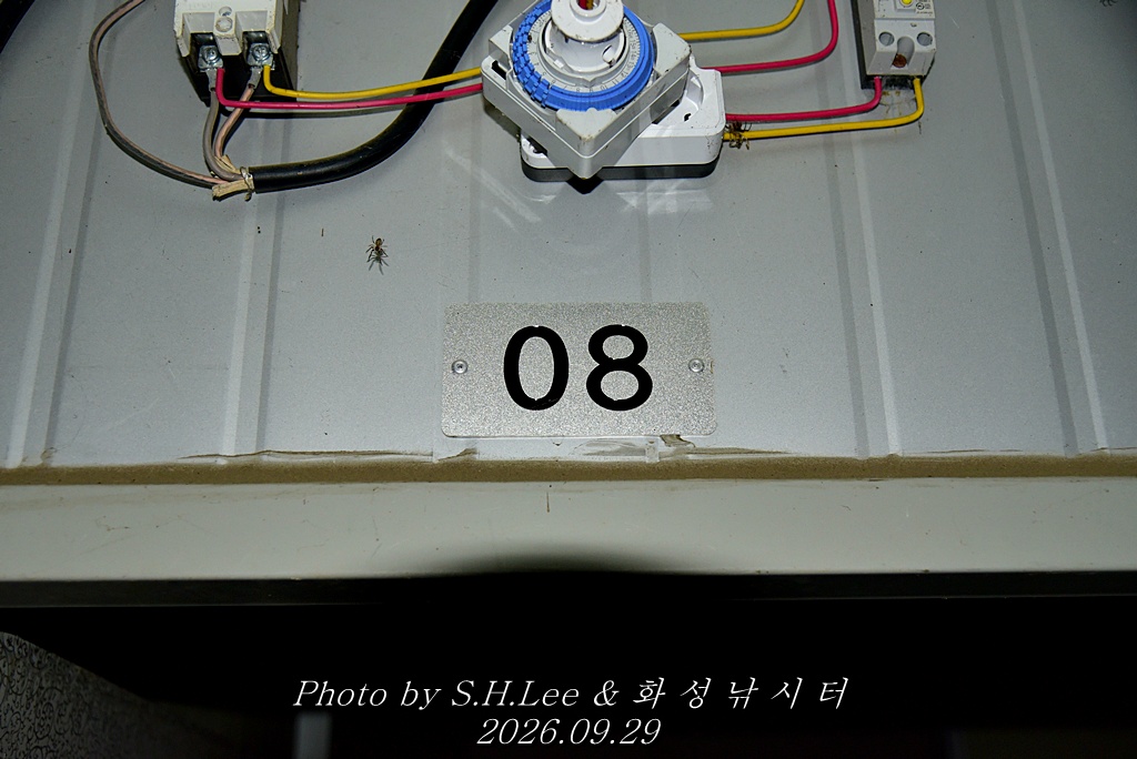 LEE_6858.JPG