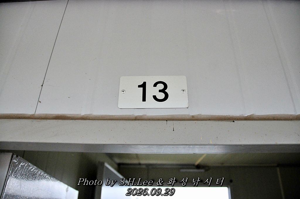 LSH_7089.JPG