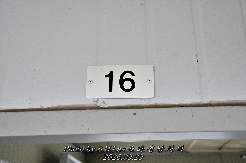 LSH_7094.JPG