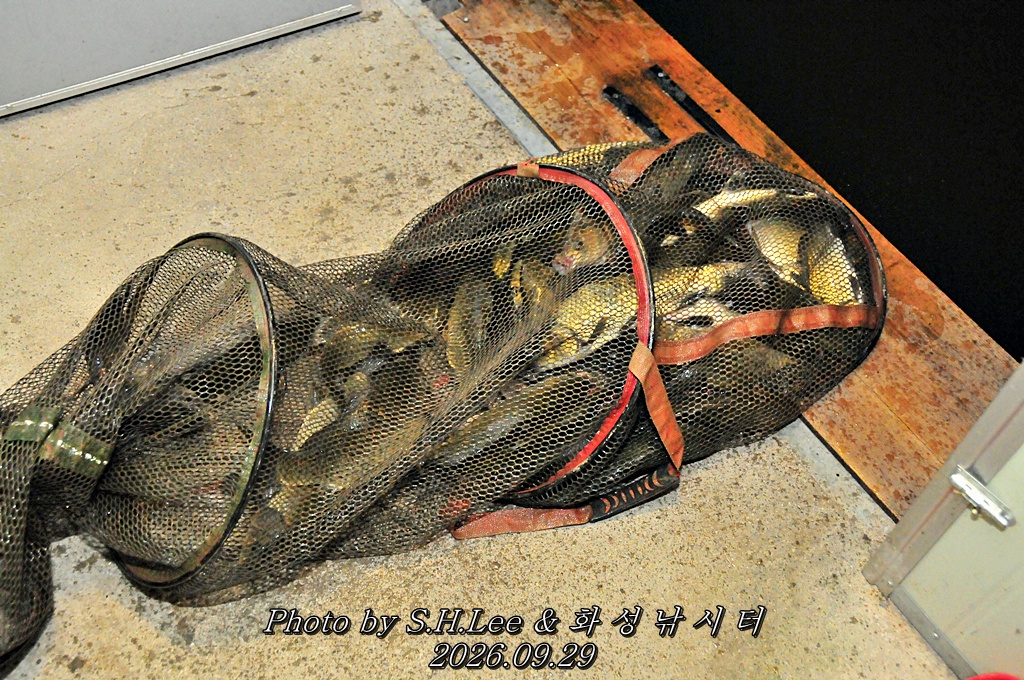 LSH_7109.JPG