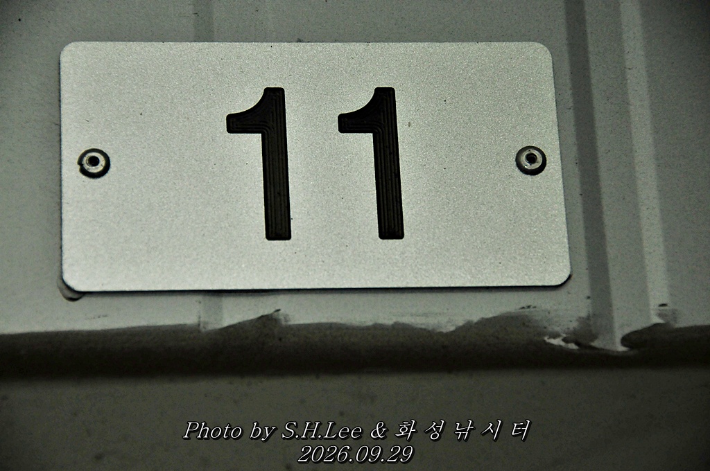 LSH_7108.JPG
