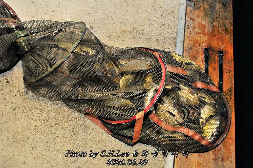 LSH_7110.JPG
