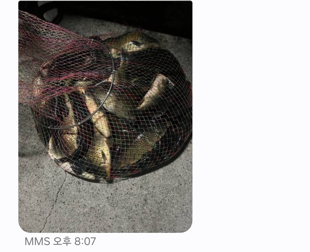KakaoTalk_20260930_164910985_05.jpg