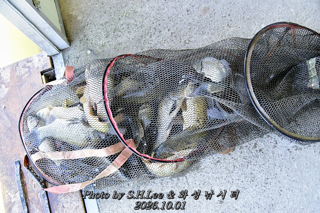 LEE_6868.JPG