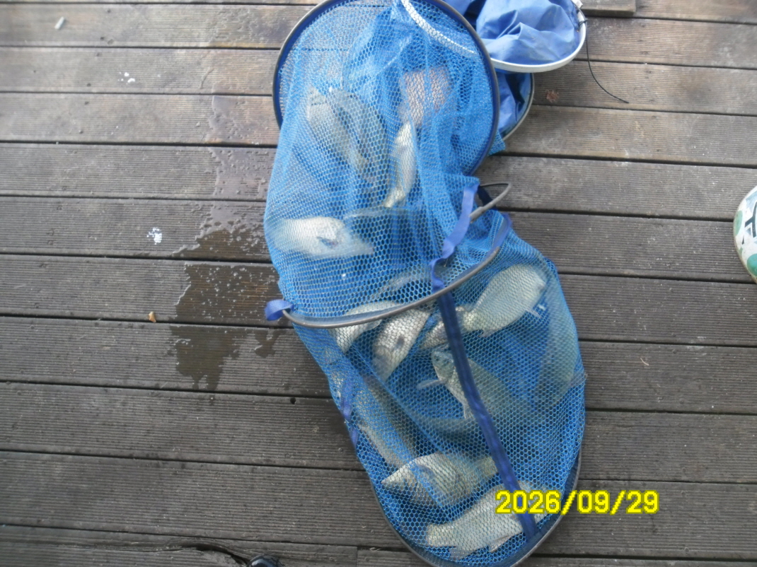 SAM_3190.JPG