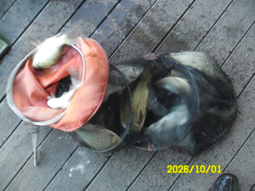 SAM_3209.JPG