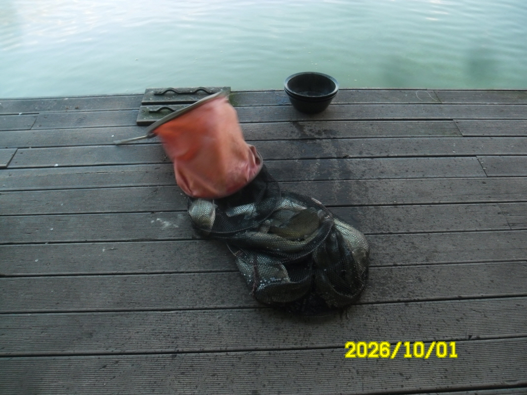 SAM_3208.JPG