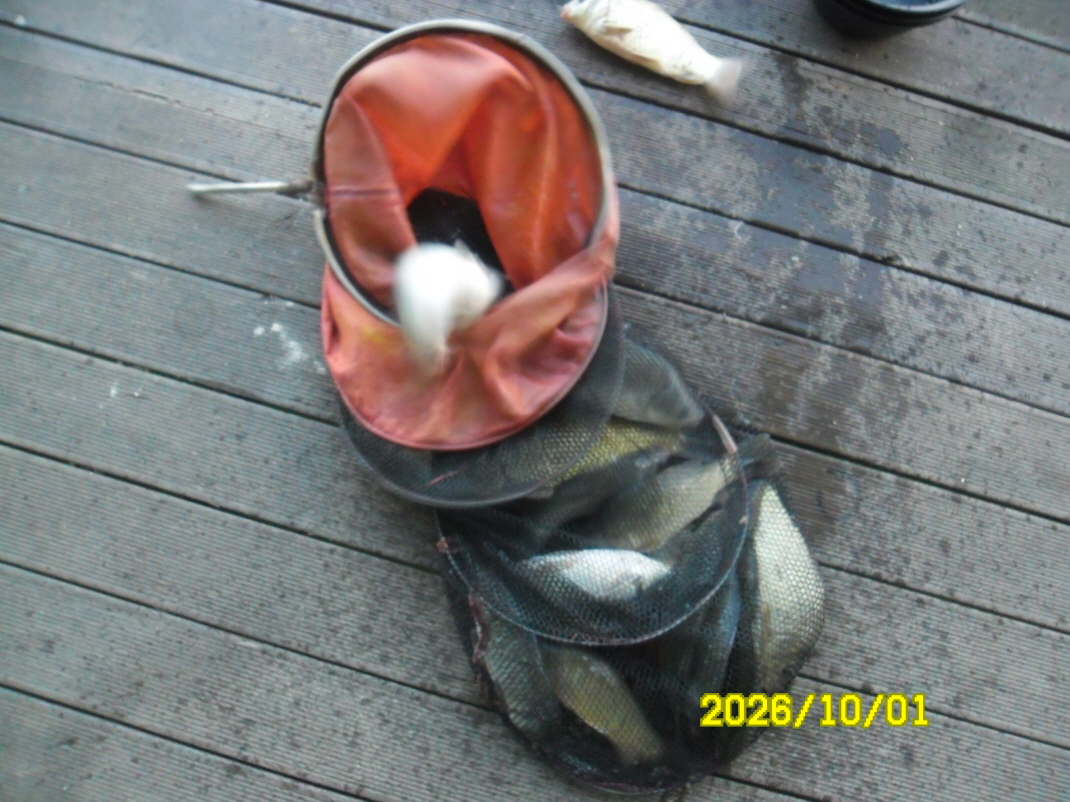 SAM_3210.JPG