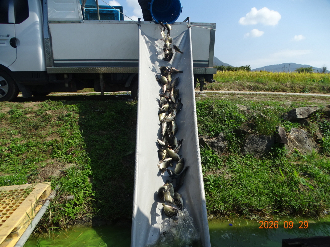DSC09256.JPG
