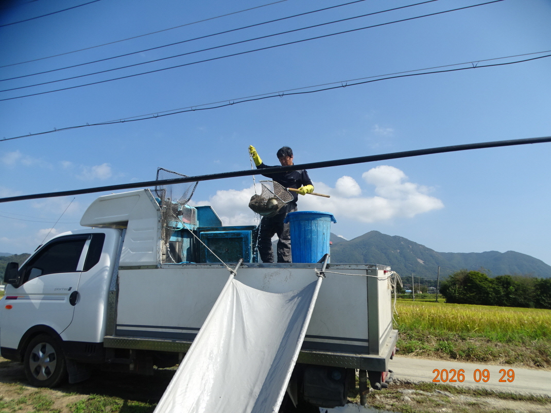 DSC09258.JPG