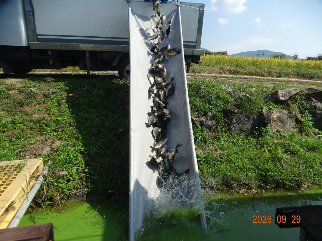 DSC09261.JPG